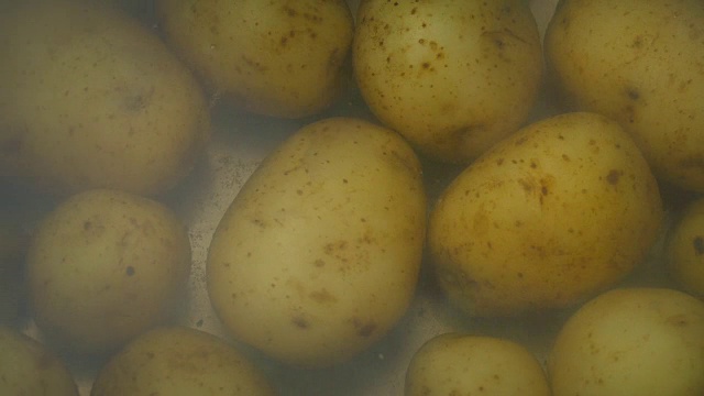 用沸水煮土豆视频下载