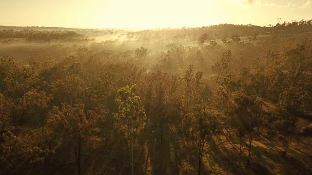 热带草原上的澳大利亚日落视频下载