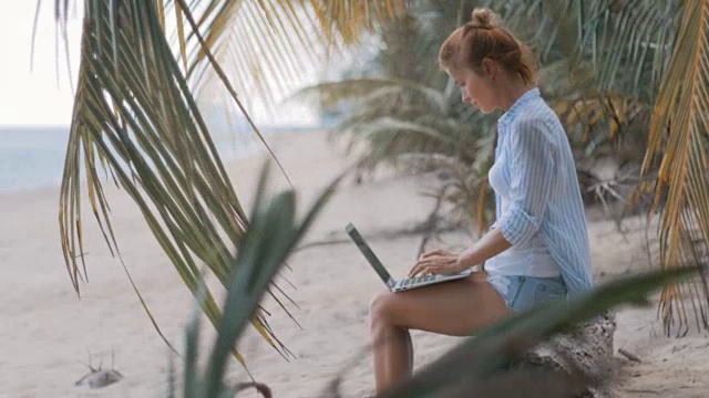 女自由职业者在海滩上工作视频素材
