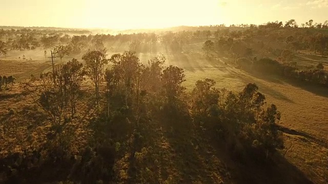 热带草原上的澳大利亚日落视频素材