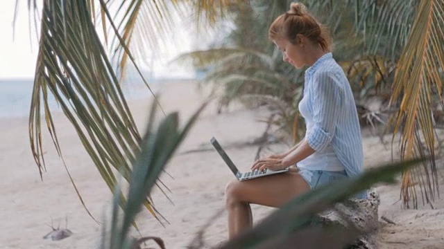 女自由职业者在海滩上工作视频素材