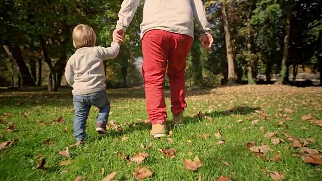 SLO MO蹒跚学步的孩子牵着父亲的手，在阳光明媚的公园里跑过草地视频素材