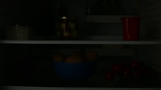 冰箱里的食物视频下载