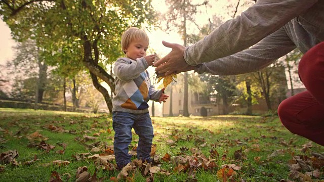 小男孩在阳光明媚的公园里玩他爸爸为他抱着的树叶视频素材