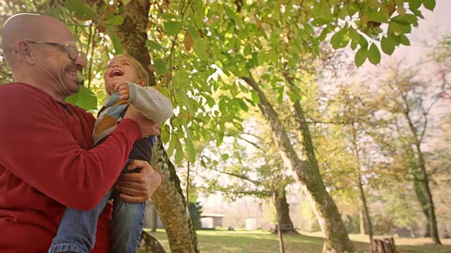 在阳光明媚的公园里，蹒跚学步的小男孩在爷爷的怀抱里大笑视频素材