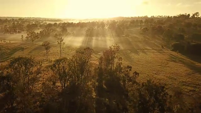 热带草原上的澳大利亚日落视频素材