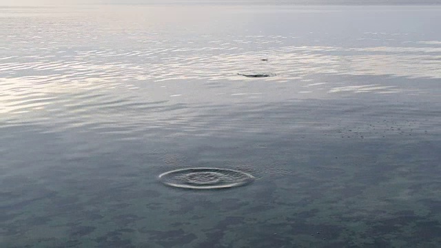 石头在光滑的水面上跳跃视频素材