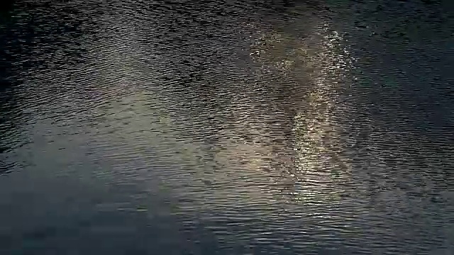 游泳池里夕阳的倒影视频下载