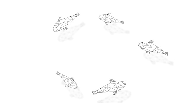 抽象花式鲤鱼或锦鲤线框多边形黑色框架结构，水生动物概念设计，插图孤立在白色背景无缝循环4K动画，与复制空间视频下载