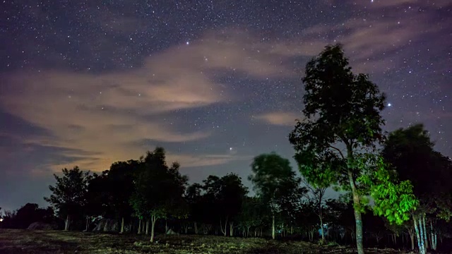 时间流逝视频:森林中的星星和夜空视频素材