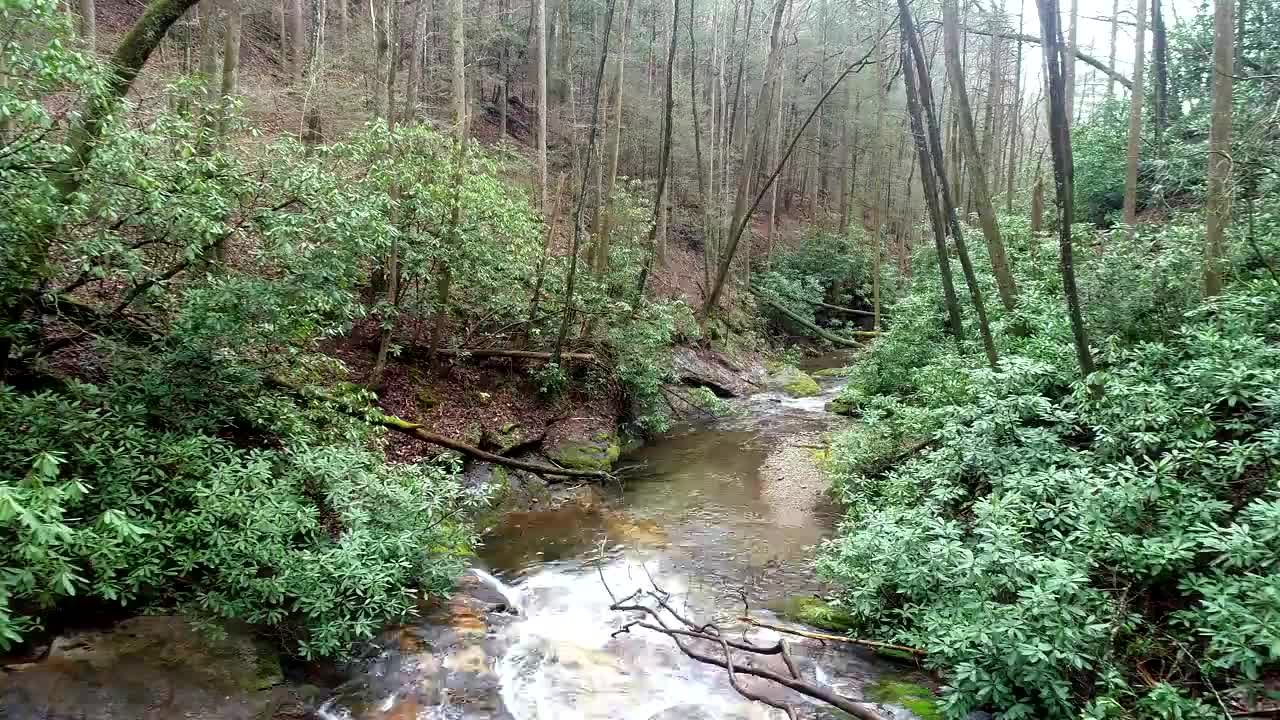 一架无人机飞过佐治亚州亚特兰大市的一条小溪视频下载