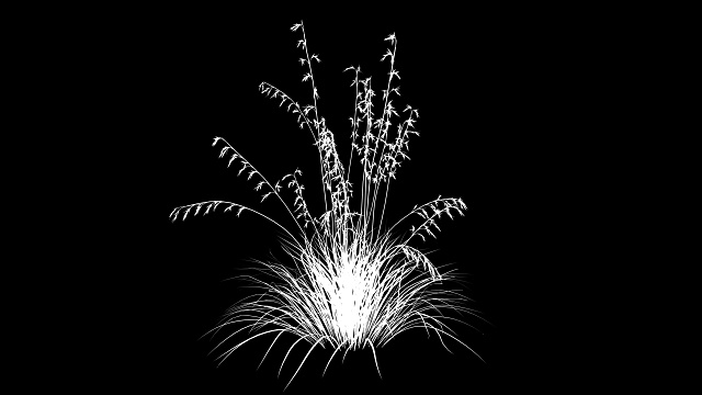 花生长在一个白色工作室的3d渲染阿尔法马特动画视频下载