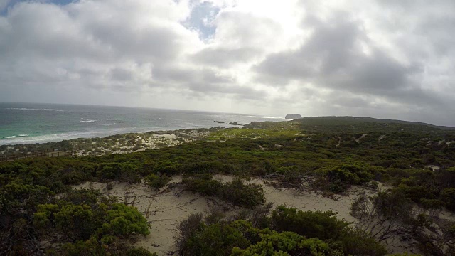 南澳大利亚袋鼠岛的海豹湾保护公园视频素材