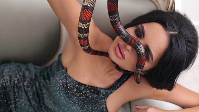 一个模特女孩和一条蛇在沙发上的肖像。视频下载