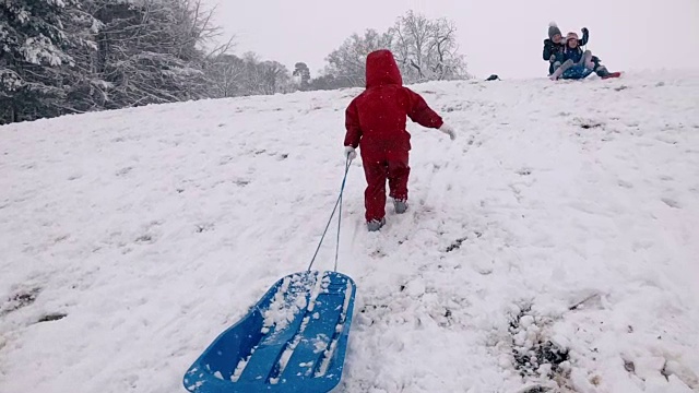年轻的女孩正走在雪山上准备滑雪橇视频素材