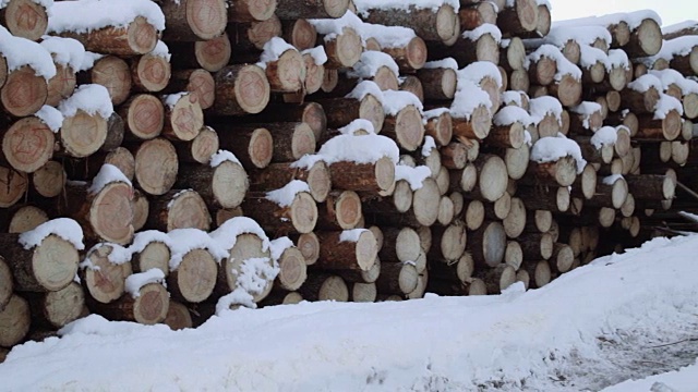 在冬天的一天，一堆被雪覆盖的原木的全景视频素材