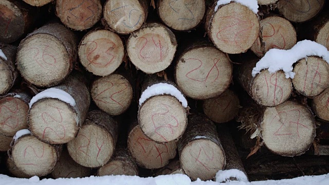 冬天被雪覆盖的一堆木材视频素材