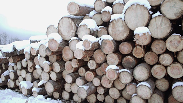 在冬天的一天被雪覆盖的木材堆栈的全景视图视频素材