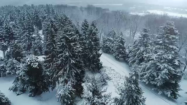 鸟瞰冬日公园里积雪覆盖的小路视频素材