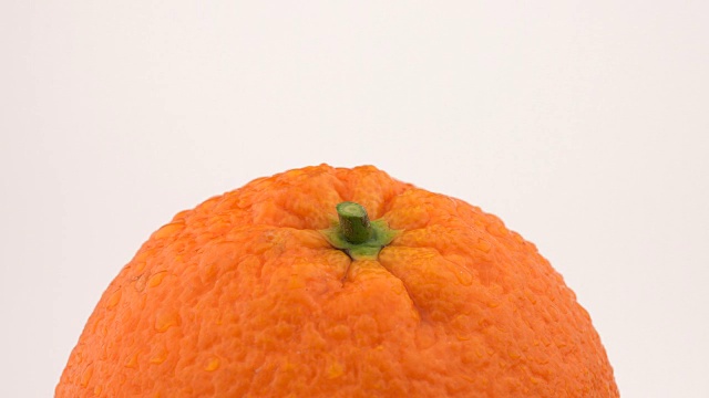 橙色水果在转盘上旋转。孤立在白色背景上。Loopable。关闭宏。部分顶视图。视频素材
