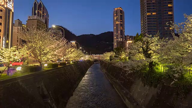 4K时间间隔-樱花树之间的河神户，日本视频素材