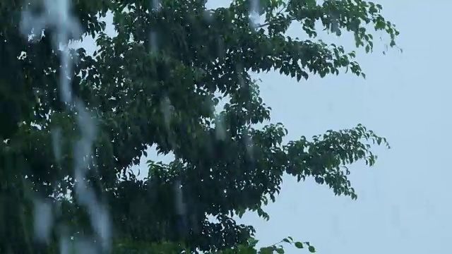 雨天的风景视频下载