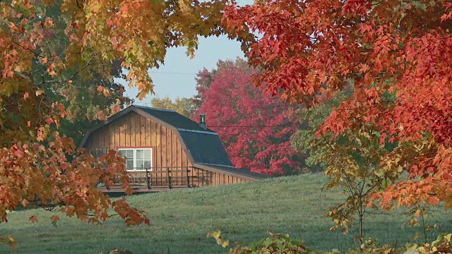 秋天的颜色与房子，落叶和风视频下载