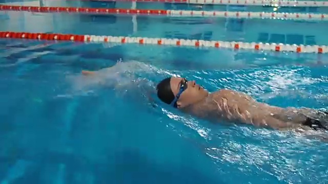 运动员在游泳池里游泳视频下载
