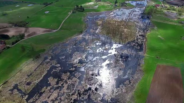 乡村草地上枯树池塘的空中摄影视频下载