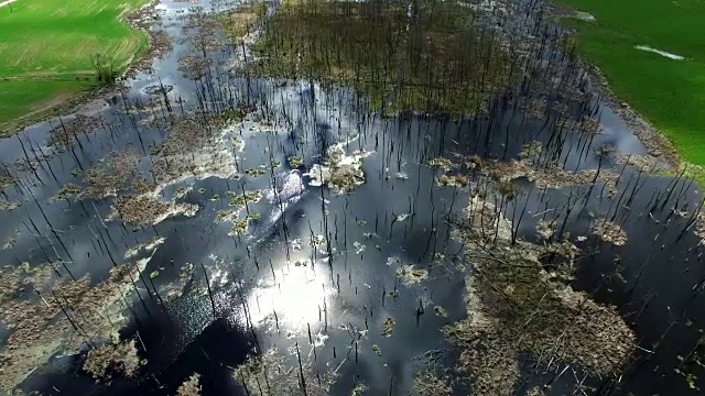 乡村草地上枯树池塘的空中摄影视频素材