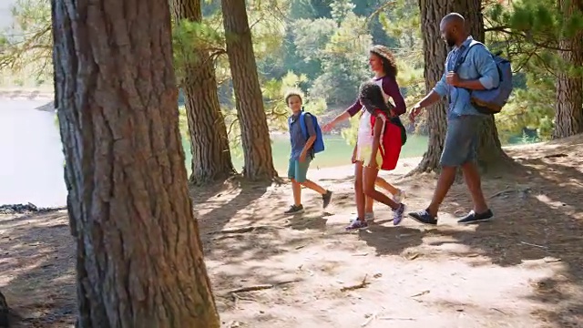 一家人在徒步行走，穿过湖边的树林视频素材