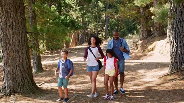 一家人徒步旅行历险沿着小径穿过树林视频素材