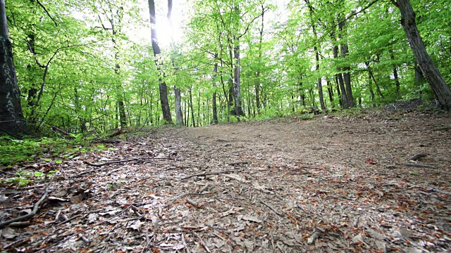 下面是女运动员跑过森林的画面。视频素材
