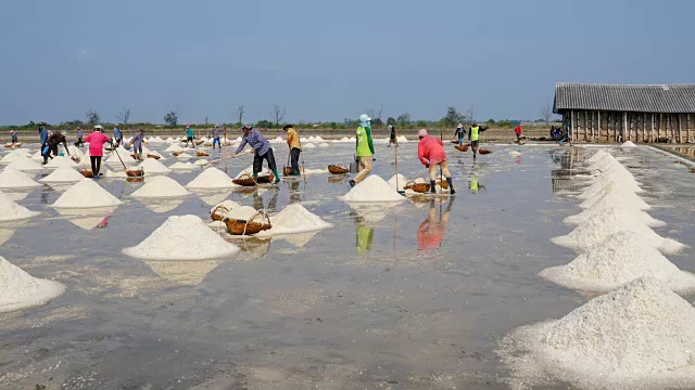 泰国工人在盐碱地上收集盐的时间流逝。泰国碧府，工人们在盐田里收割盐。一堆海盐在农场准备收获，泰国。视频下载
