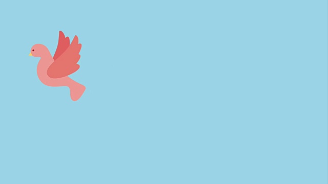 可爱的粉红色鸽子飞翔的鸟视频下载
