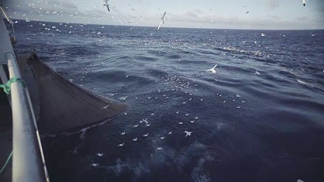 渔船拖网渔船:捕获大量的鱼视频素材