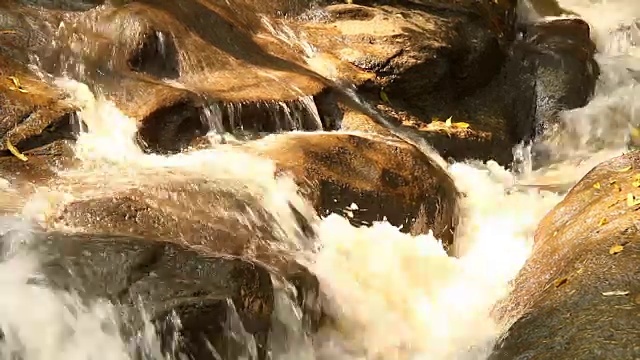 泰国清迈诗丽吉皇后植物园的瀑布视频素材