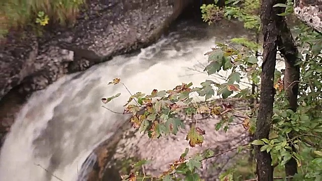 瀑布秋叶自然视频素材