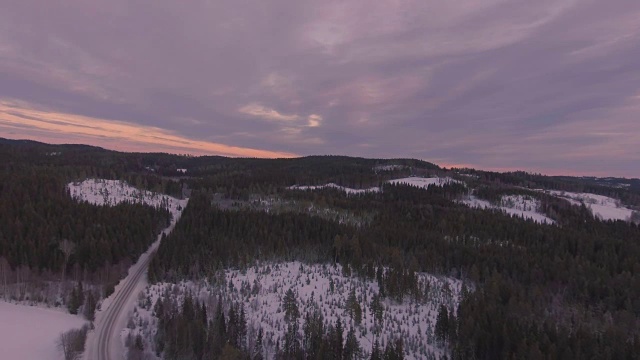 森林景观冬季飞行视频下载