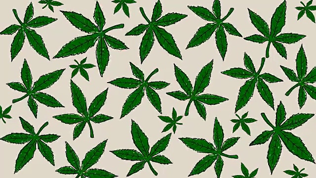 手绘大麻叶子的动画。医用大麻的背景视频下载