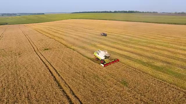 空中联合收割机收割小麦视频素材