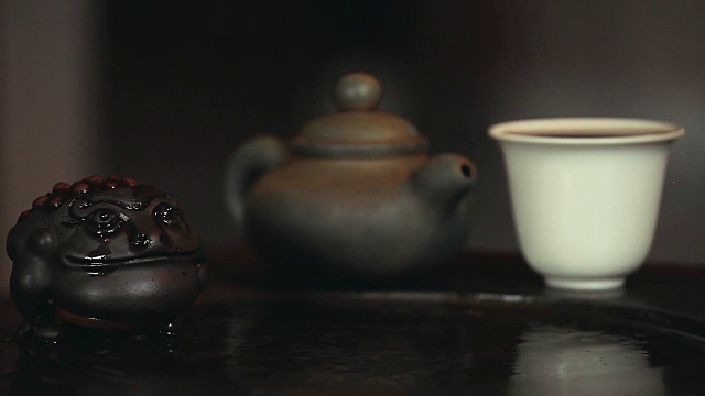 中国茶蟾蜍短片视频下载