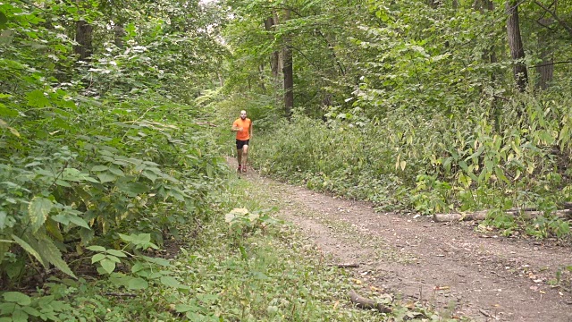一名年轻人在慢跑时抽筋。停下来按摩膝盖。在夏日森林里，一个人跑过乡村。视频下载