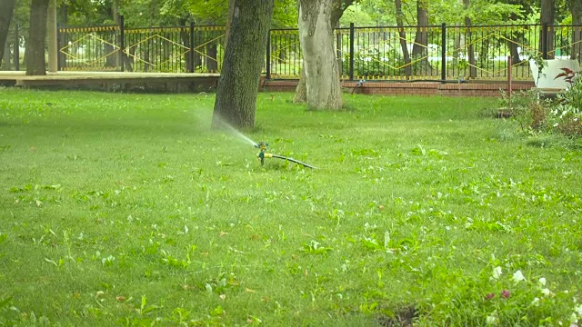 花园灌溉喷灌机浇灌草坪。公园里的绿草。视频素材