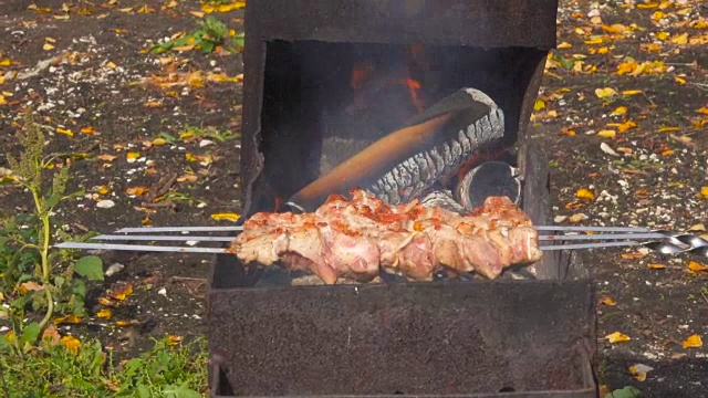 猪肉块被炸在木炭烧烤烧烤美味的烤肉在烧烤上。烧烤聚会。视频素材