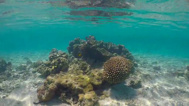 人们在拉罗汤加泻湖库克岛的水下潜水视频素材