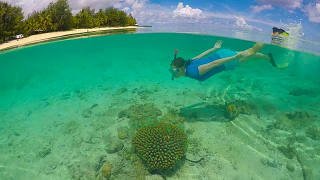 50/50在拉罗汤加库克群岛的一个女人游泳/水下浮潜与珊瑚礁鱼视频素材