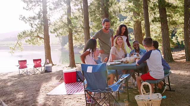 家人和朋友在湖边露营时喜欢野餐视频素材