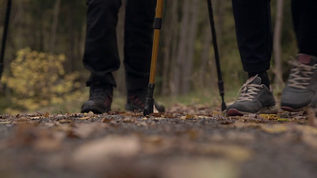 低截面的老年人与北欧的行走杆在森林视频素材