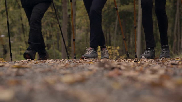 低段的老年人徒步与北欧手杖在森林视频素材